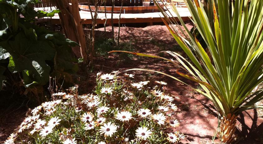Atacama-Adventure Wellness & Ecolodge ซานเปโดร เด อาตากามา ภายนอก รูปภาพ
